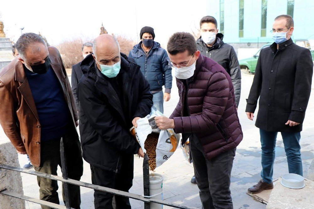 İliç’te Sokak Hayvanları Unutulmadı
