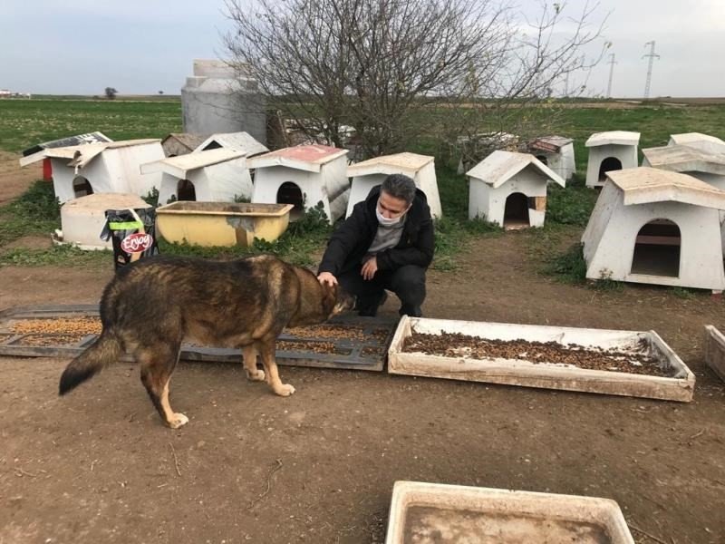 Kaymakam Taşçı Ve Başsavcı Yiğiter, Sokak Hayvanlarını Unutmadı