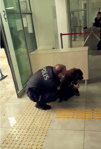 Kaymakamlık Kontrol Noktasına Gelen Köpeğe Polis Şefkati