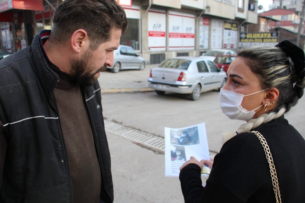 Ebru Öğretmen Kayıp Kedisini Sokak Sokak Arıyor