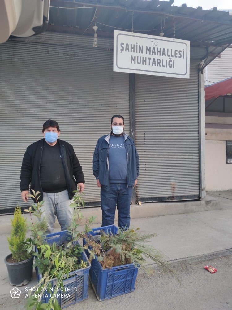 "vatanını Seviyorsan Ağaç Dik" Kampanyası