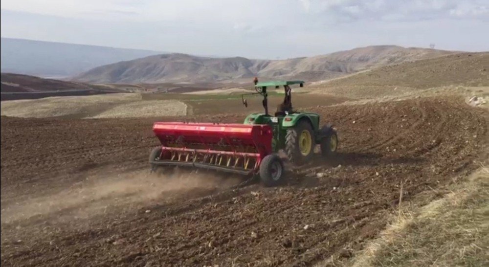Siirt’te Nohut Üretimine İlgi Arttı