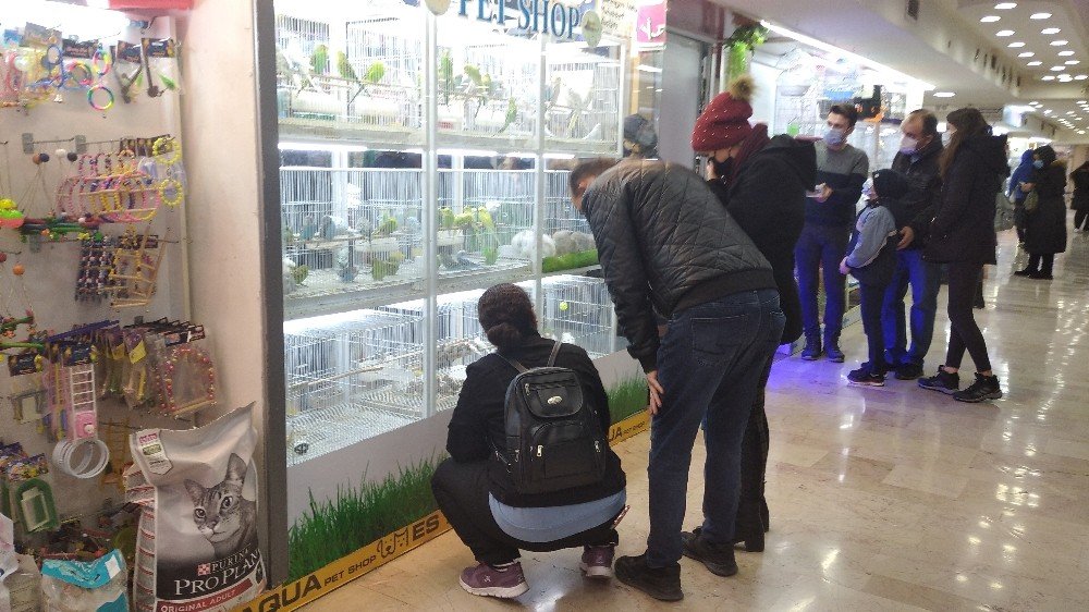 Pandemi Döneminde Evcil Hayvanlara Talep Arttı