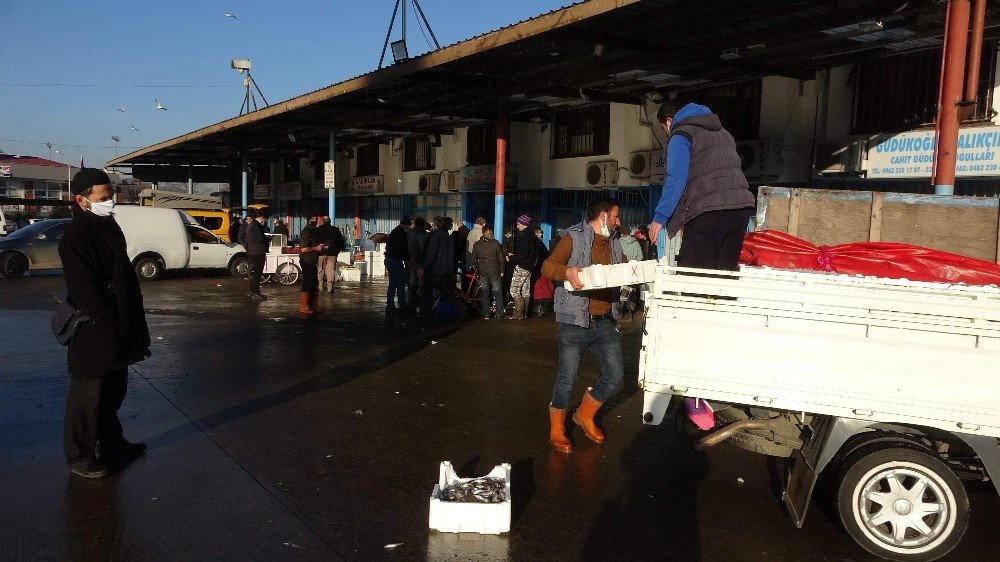 Trabzon Toptancı Balık Hali’ne Gelen Balık Miktarındaki Düşüş Devam Ediyor