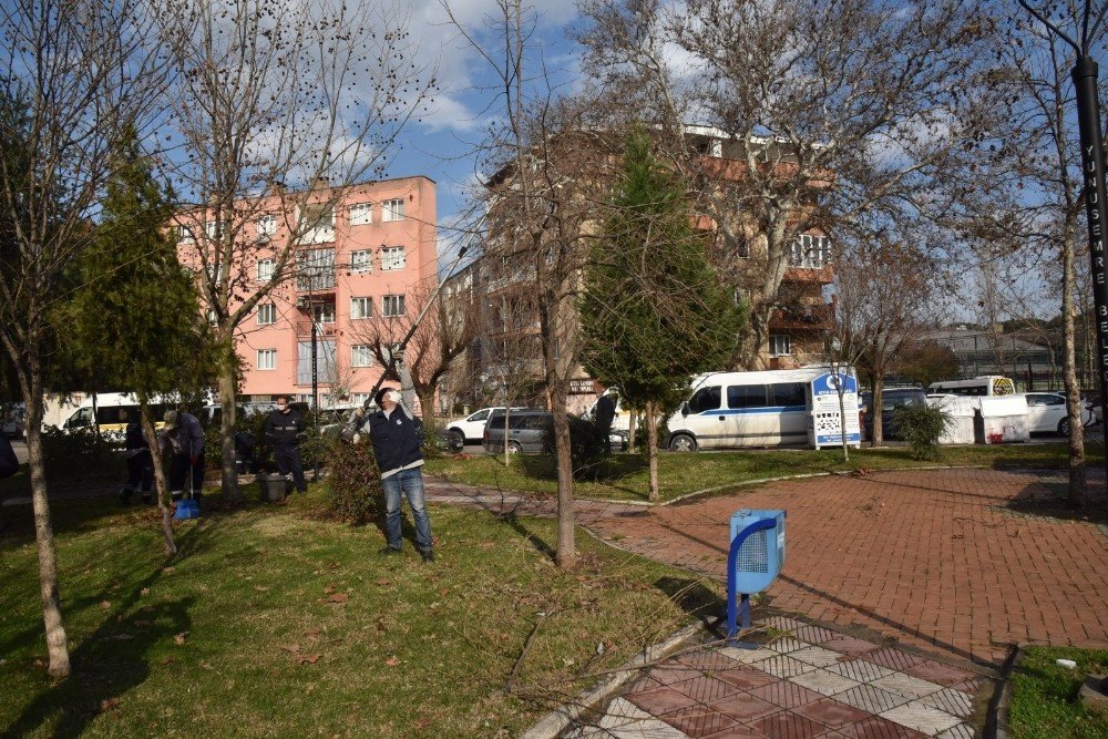 Budanan Ağaçlar İhtiyaç Sahiplerine Odun Oluyor