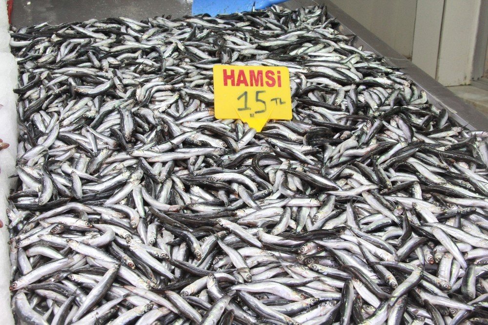 Hamsi Yasağına ’buzhane’ Çözümü