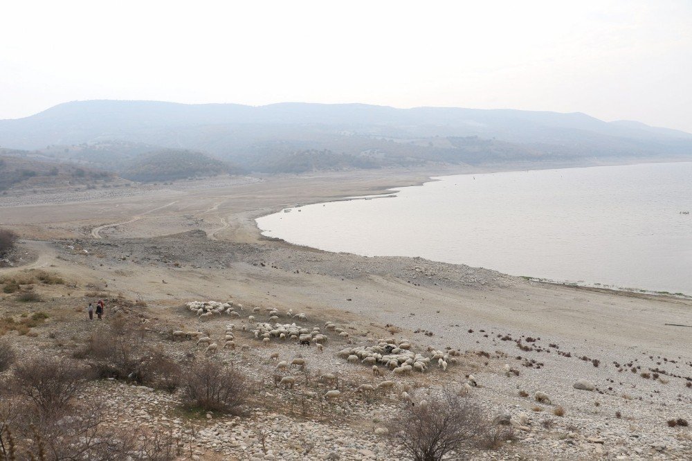 Kuraklık Alarmı Malatya İçin De Çalıyor
