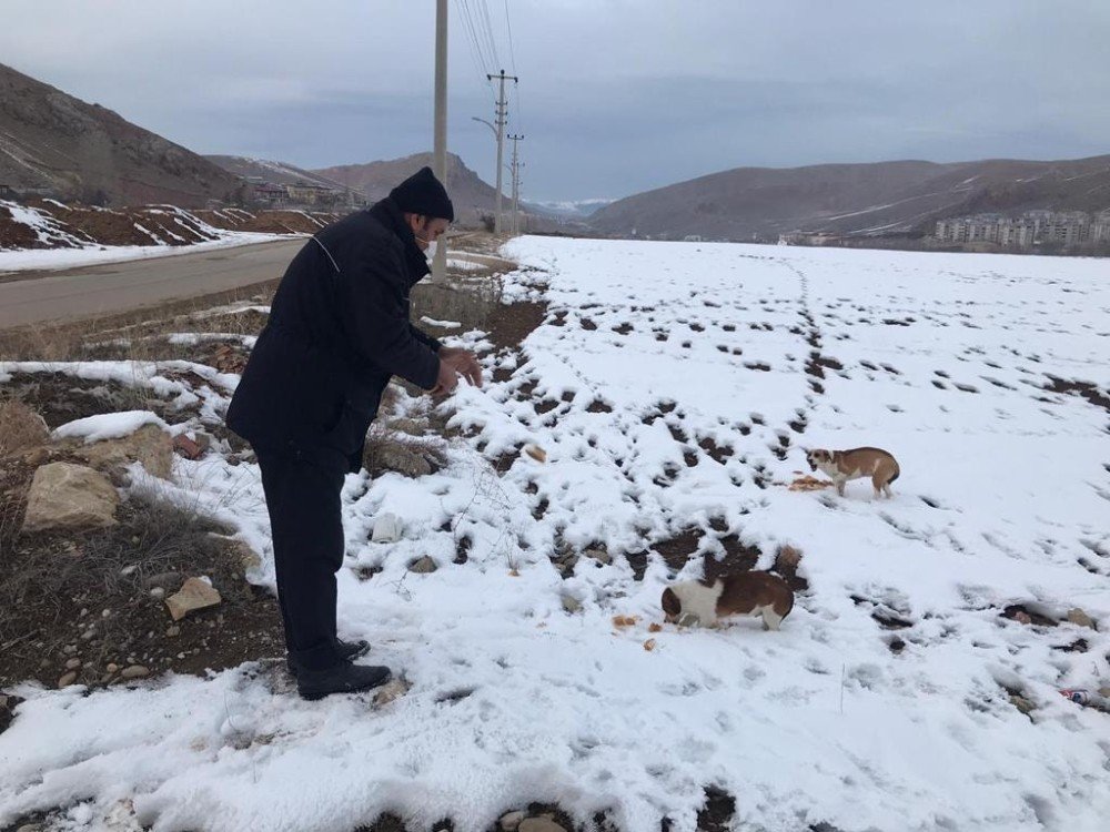 Bayburt’ta Sokak Hayvanları İçin Yiyecek Bırakıldı
