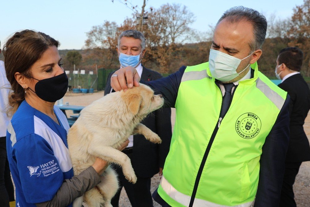 Bursa’nın Emekli Hayvanlar Çiftliği