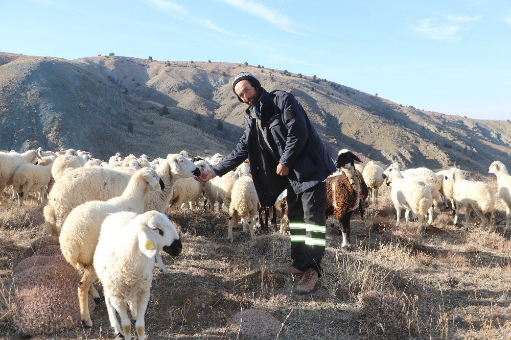 Kuraklık Onları Hem Sevindirdi Hem Düşündürdü