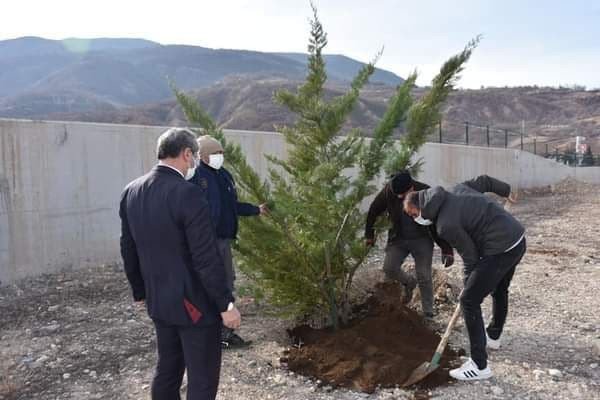 Millet Bahçesi’nin İlk Fidanları Toprakla Buluşturuldu