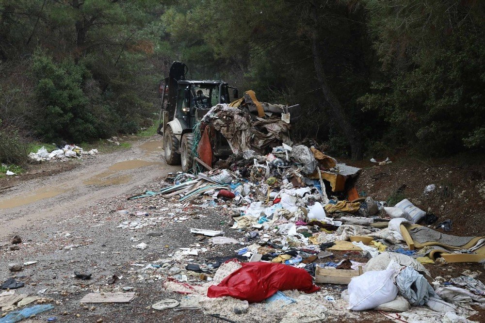 Buca Belediyesinden Yıldızlar Ormanı Açıklaması