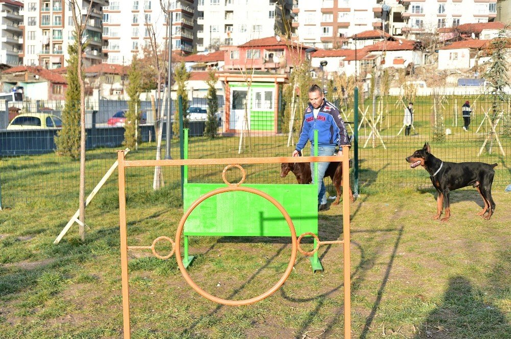 Mamak Belediyesinden ‘köpek Parkı’