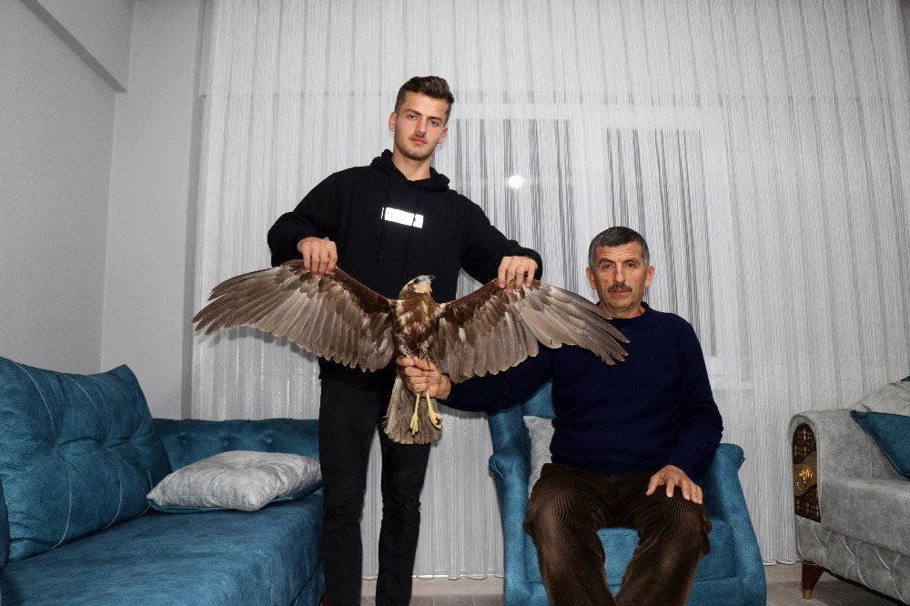 Uçmakta Zorlanan Doğana Hayvan Sever Sahip Çıktı