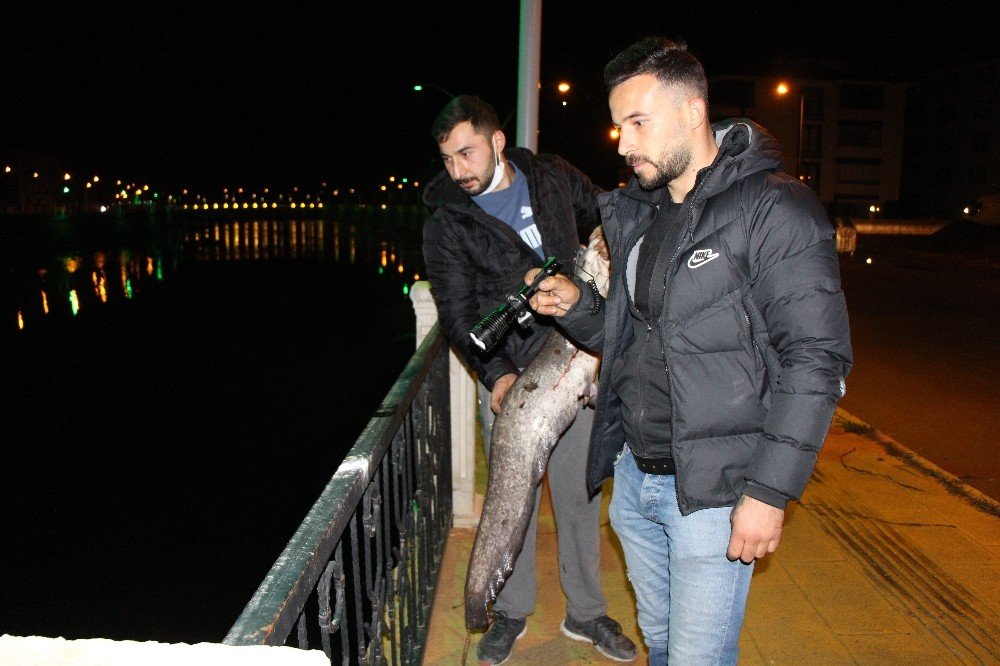Polis ‘zehirli Olabilir’ Diye Uyardı Ama Onlar Fenerle Aydınlatıp Balık Tuttu