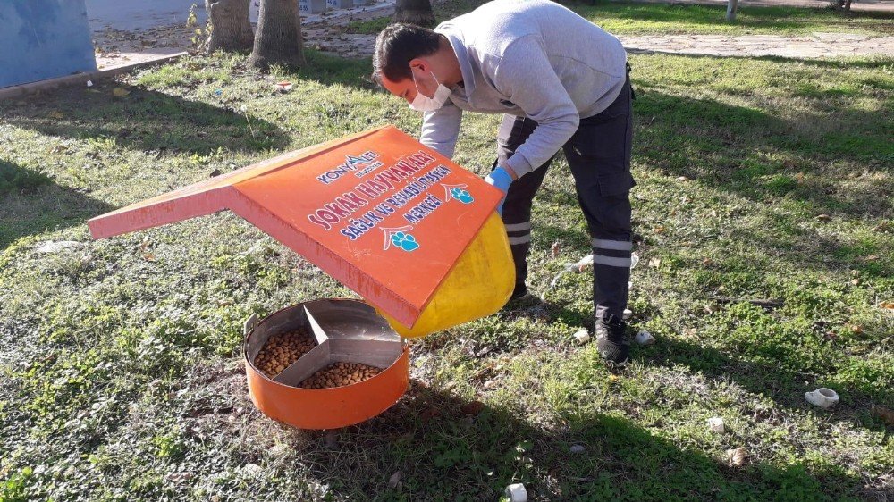 Konyaaltı’nda Sokak Hayvanları Unutulmadı