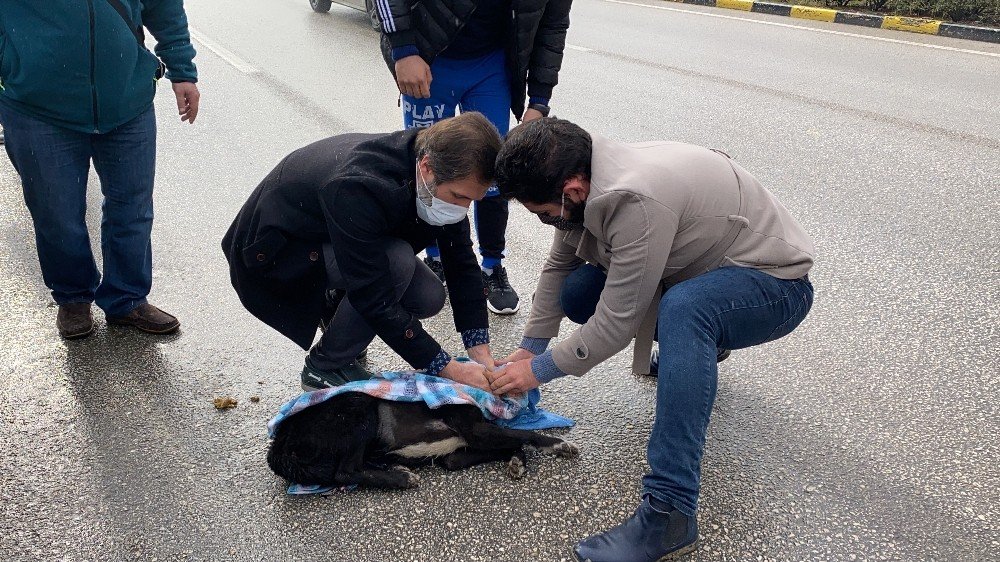 Yaptığıyla "insanlık Ölmemiş" Dedirtti