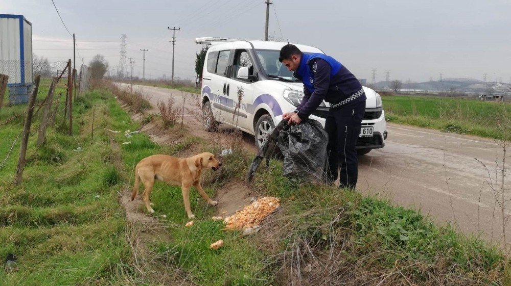 Kartepe’de Sokak Hayvanları Mamasız Kalmıyor