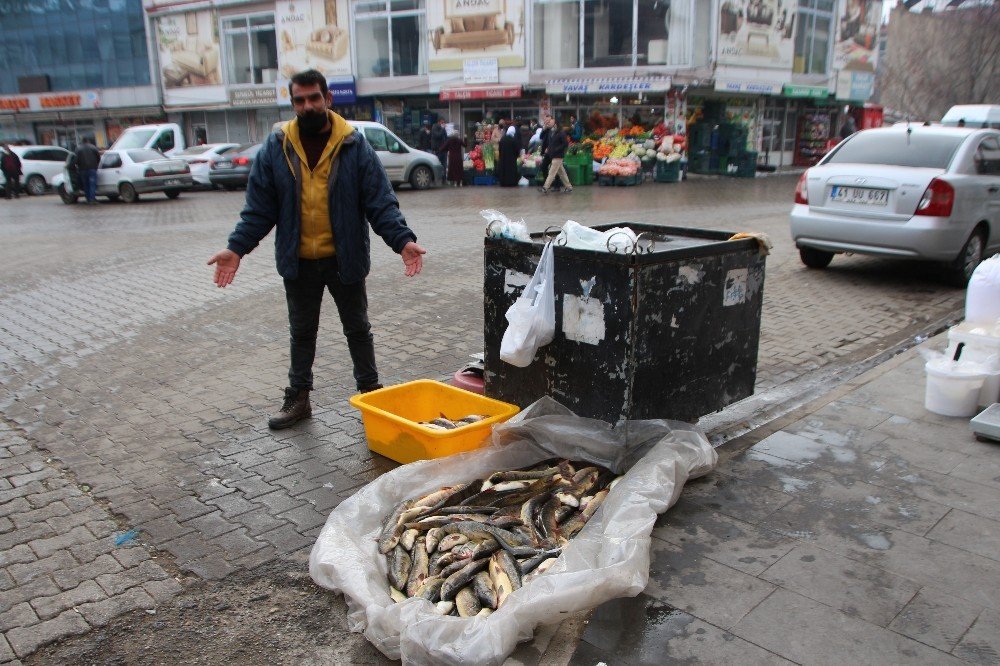 Murat Nehri’nde Balık Bolluğu