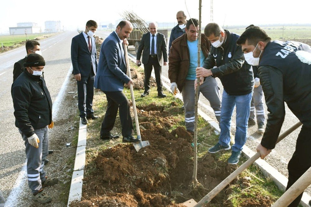 Araban’da Ağaçlandırma Çalışmaları