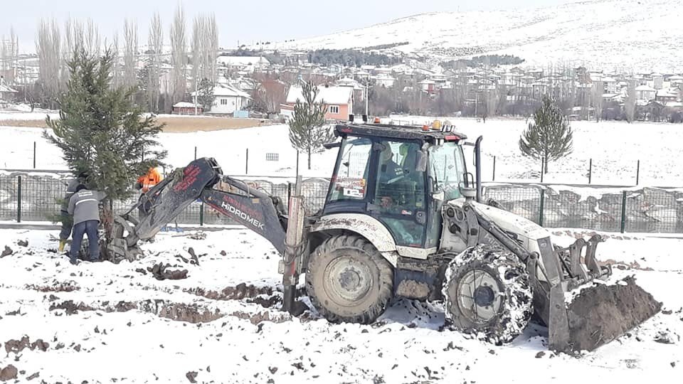 Kar Yağışı Ağaç Dikmeye Engel Olmadı