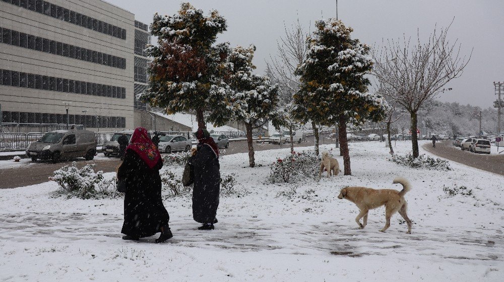 Kocaeli’de Şehir Merkezine Yakın Bölgeler Beyaz Örtü İle Kaplandı