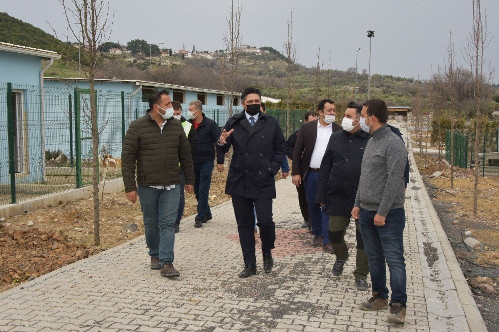 Aliağa’da Sevimli Dostlar İçin Dikkat Çeken Tesis