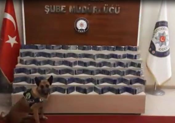 Van’da 51 Kilo 45 Gram Eroin Ele Geçirildi