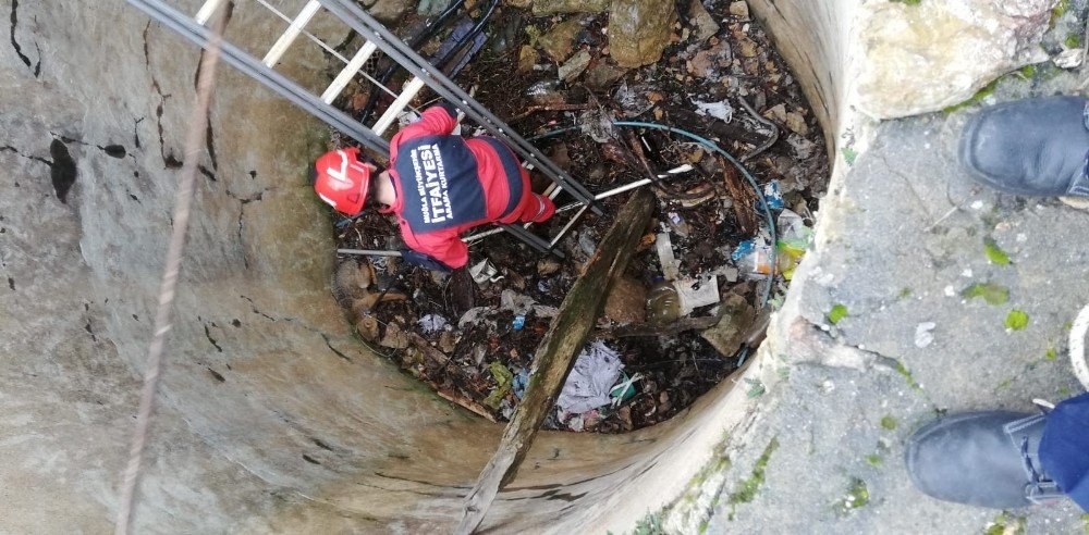 Tilkiyi Kurtarmak İçin Seferber Oldular