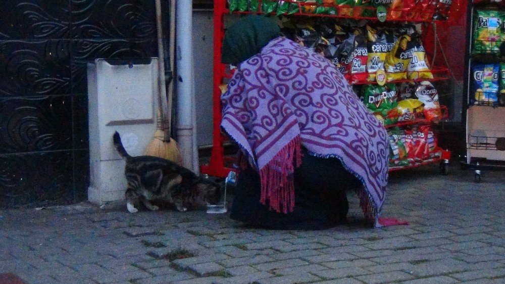Soğuk Havada İç Isıtan Görüntü
