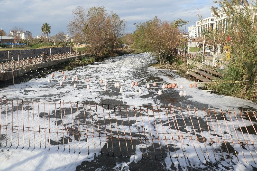 Antalya’da Binlerce Balığın Ölümüyle İlgili 4 Tesise Ceza