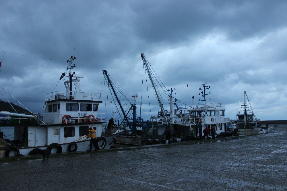 Sinop’ta Deniz Mayını Bulundu