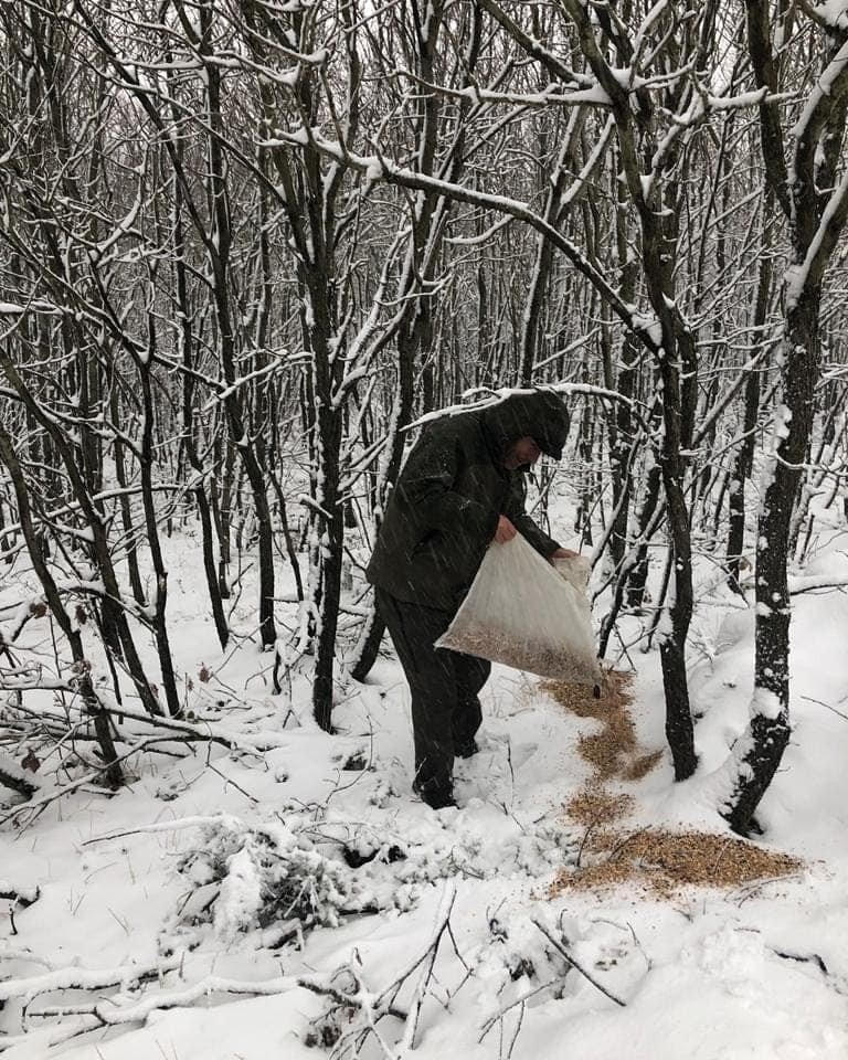 Karlı Günlerde Yaban Hayvanları İçin Doğaya 200 Kilogram Yem Bırakıldı