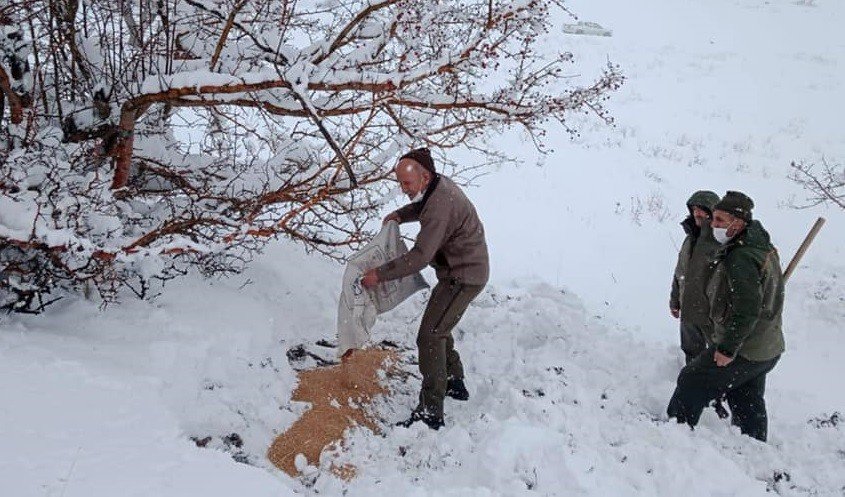 Elazığ’da Karla Kaplı Bölgelerde Yaban Hayatına Yem Desteği
