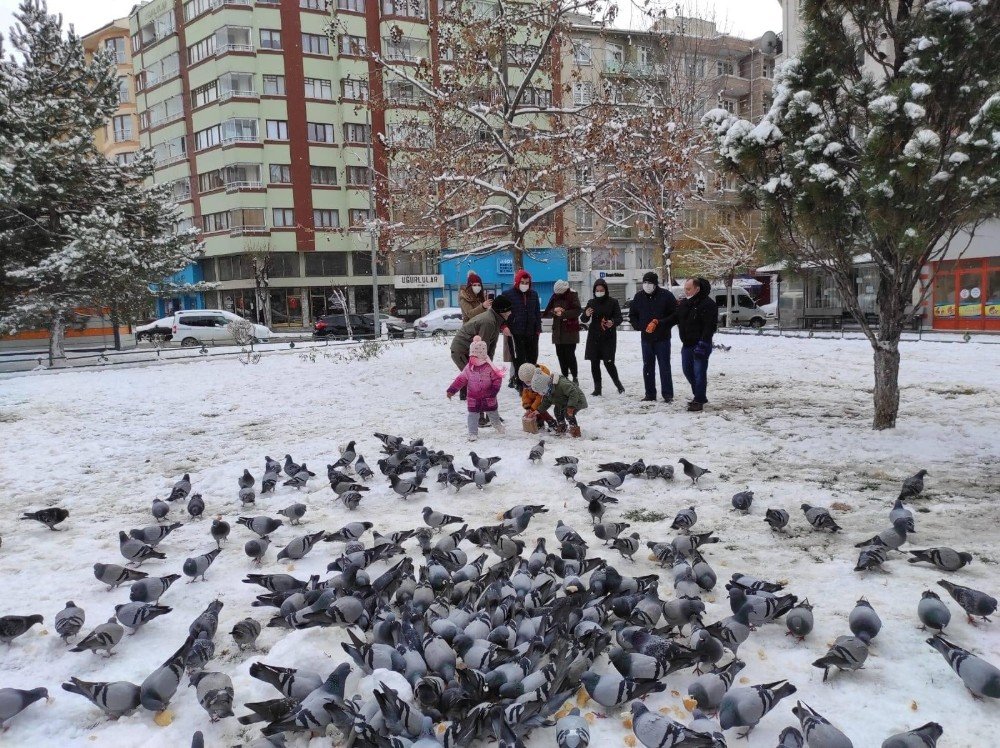 Soğuk Havalarda Sokak Hayvanları Unutulmadı