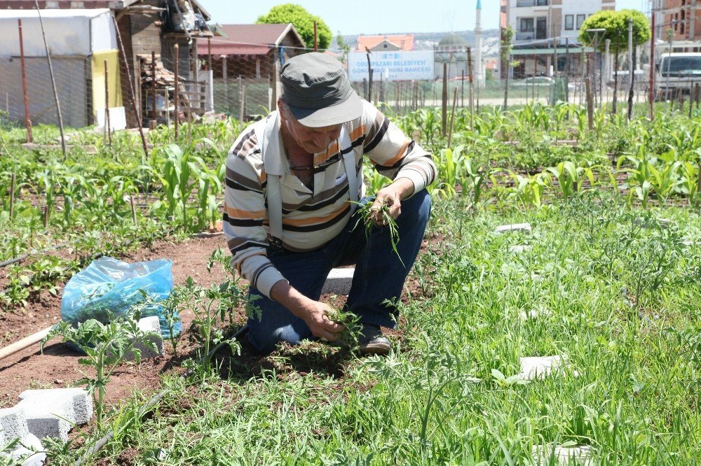 Hobi Bahçelerinin Yeni Dönem Sahipleri Belirlenecek
