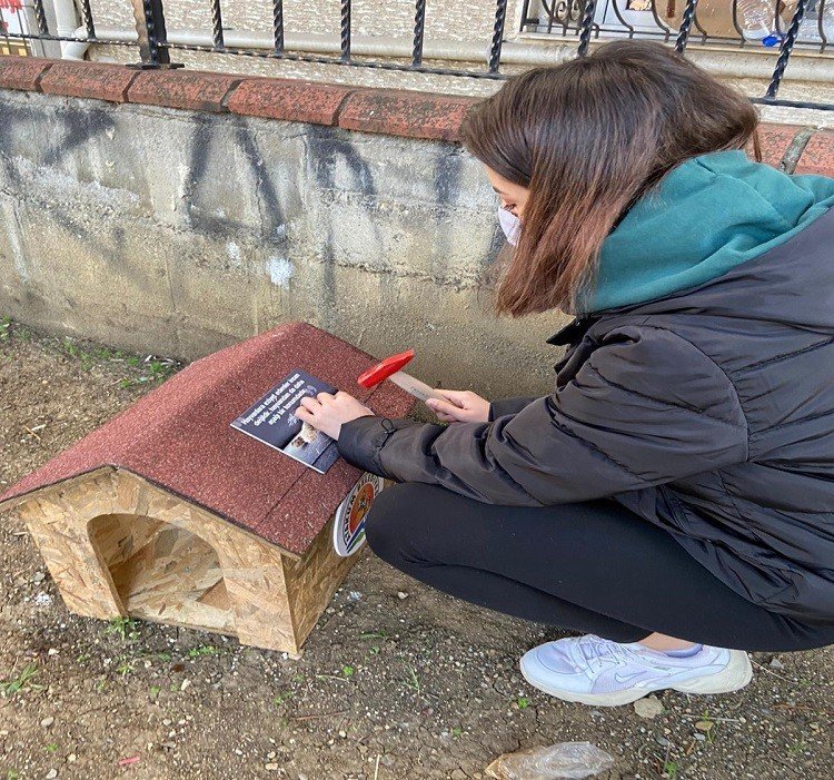 Öğrencilerden “kedi Park Projesi"