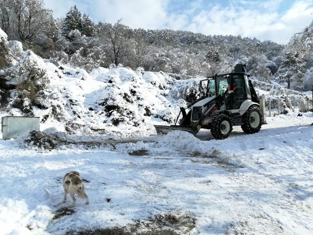 Devrek Belediyesi Karla Mücadele Çalışmalarına Devam Ediyor