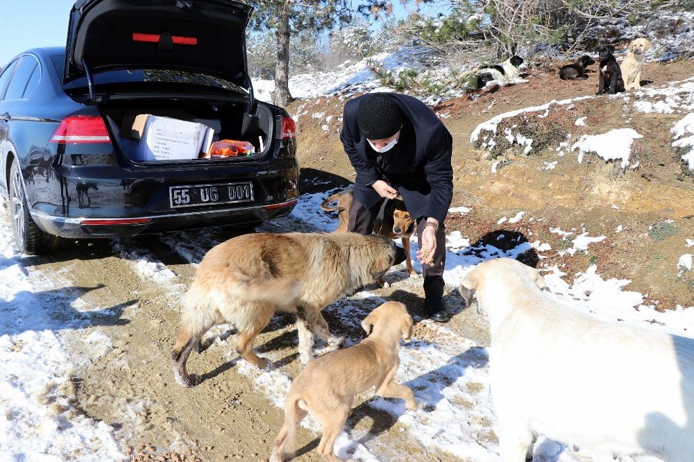 Kavak’ta Can Dostlar Unutulmadı