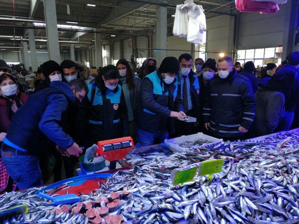 Bozüyük’te Balık Satıcılarına Yönelik Denetim Yapıldı