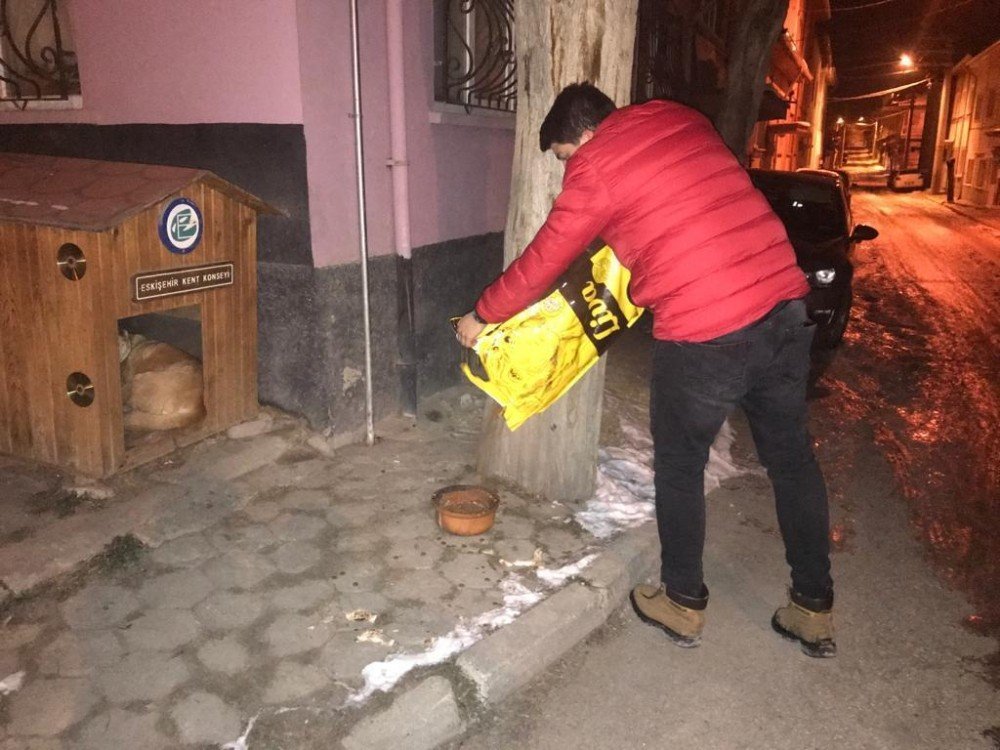 Eskişehir Gönüllüleri Platformu Üyeleri Sokak Hayvanların Yardımına Yetişti