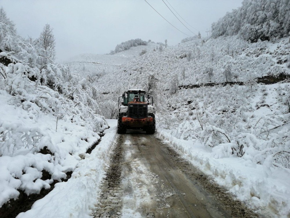 Ordu’nun Yolları Açık
