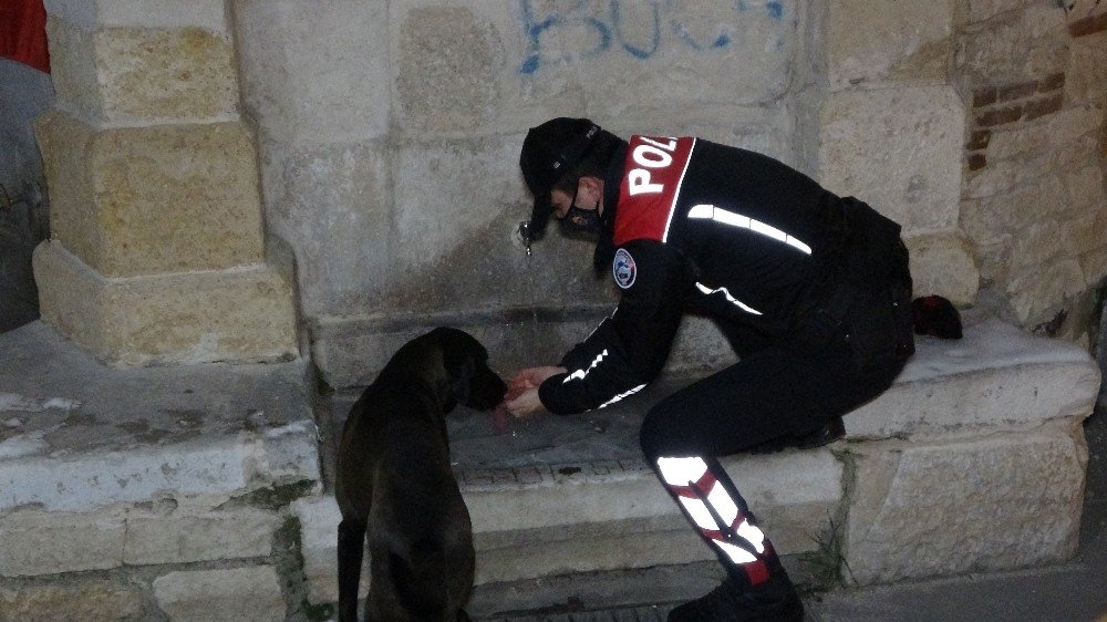 Polis Ekipleri, Eksi 10 Derecede Sokak Hayvanlarını Unutmadı