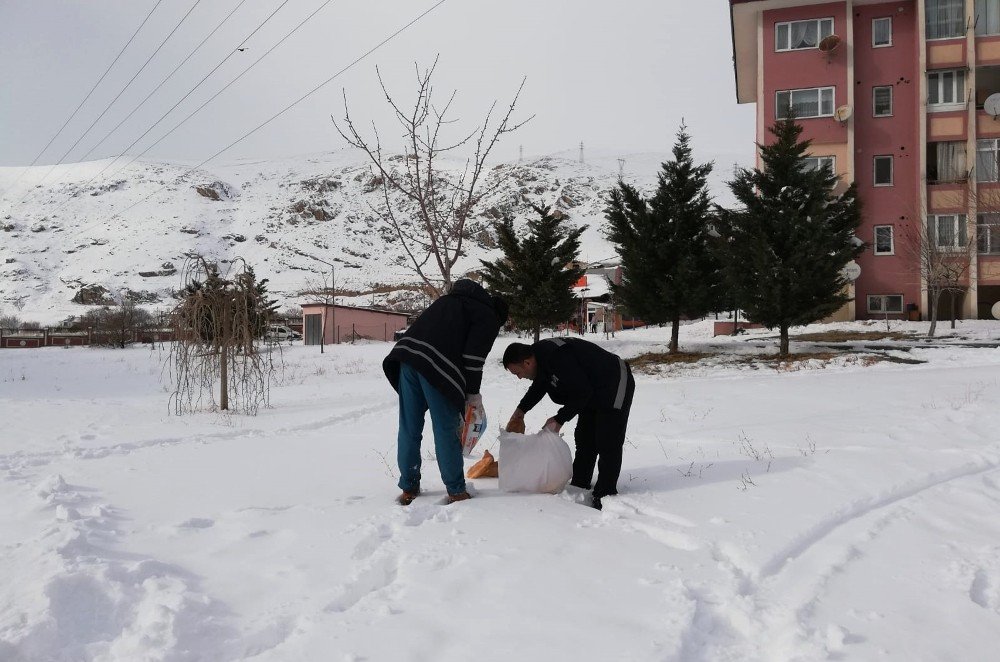 Adilcevaz Belediyesi Doğaya Yiyecek Bıraktı