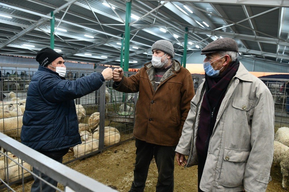 Hayvan Pazarında Üreticilerin Yüzü Gülüyor