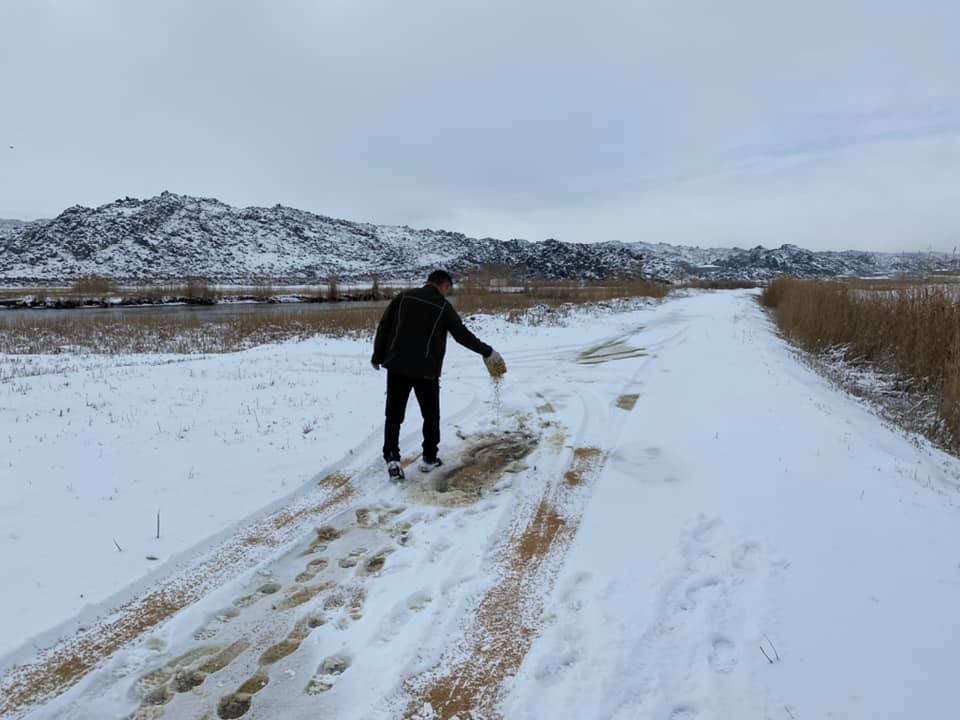Iğdır’da Kar Yağışı Ve Aşırı Soğuktan Dolayı Yaban Hayvanları İçin Yem Bırakıldı