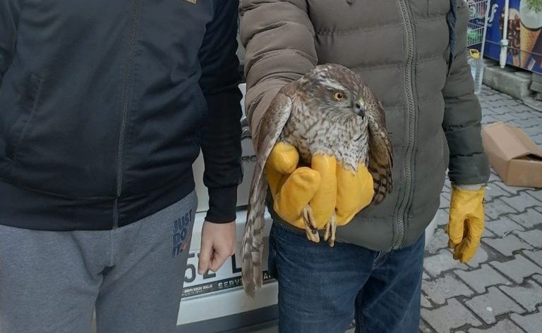 Çocukların Duyarlılığı Hayat Kurtardı