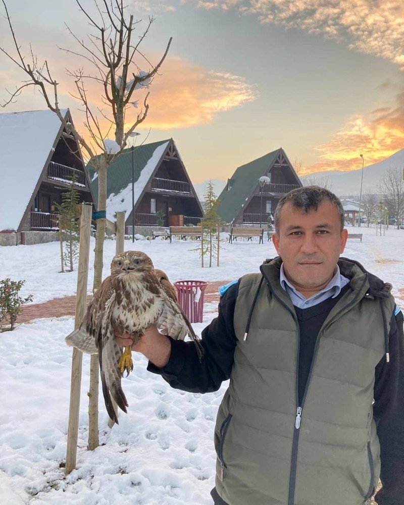 Yaralı Şahine Belediye Sahip Çıktı