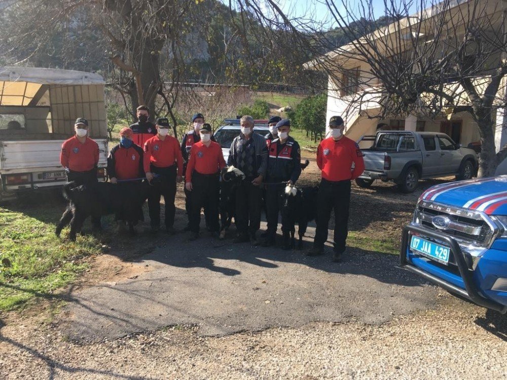 Uçurum Kenarında Mahsur Kalan Keçileri Jandarma Kurtardı