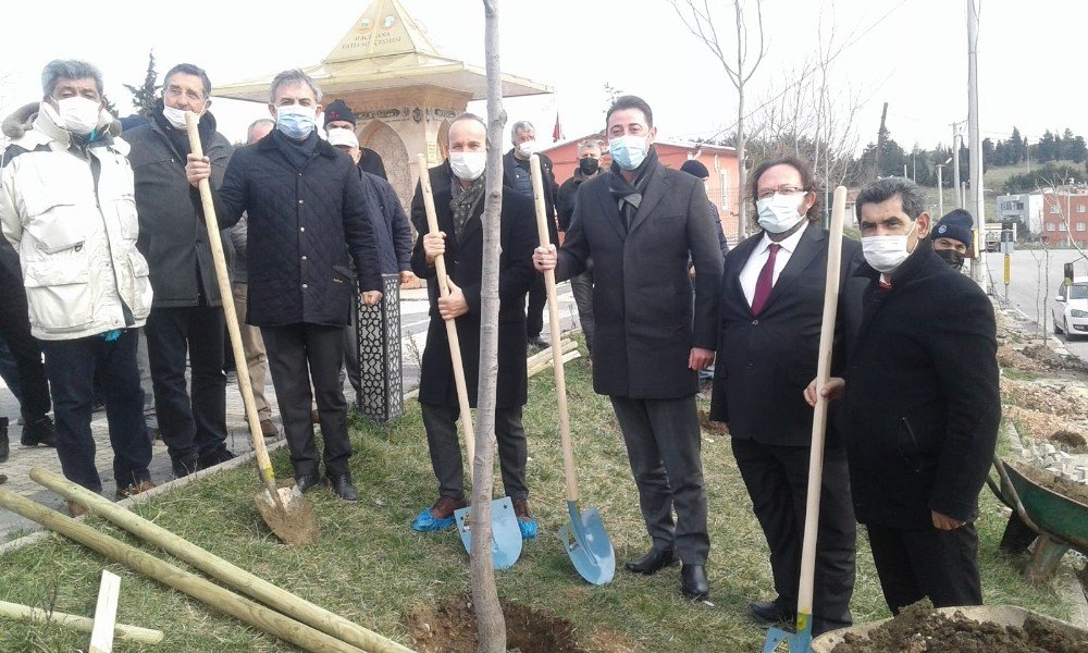 Çevreci Muhtar’dan Ağaç Dikim Etkinliği